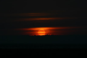 IMG_2768.jpg