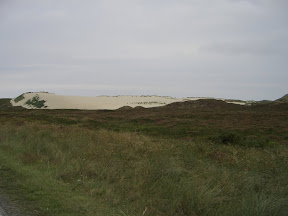 CIMG0951.JPG