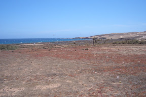 CIMG2175.JPG