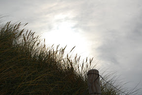 DSC_0060.JPG