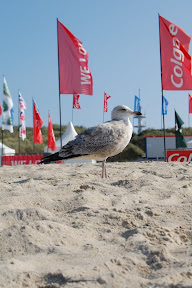 DSC_0308.JPG