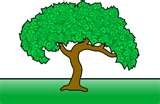 [money tree[2].jpg]
