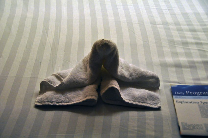 21 mei 2009