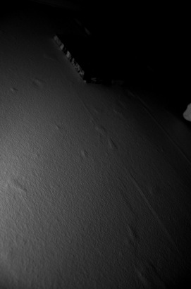 DSC_1835 DSC_1835