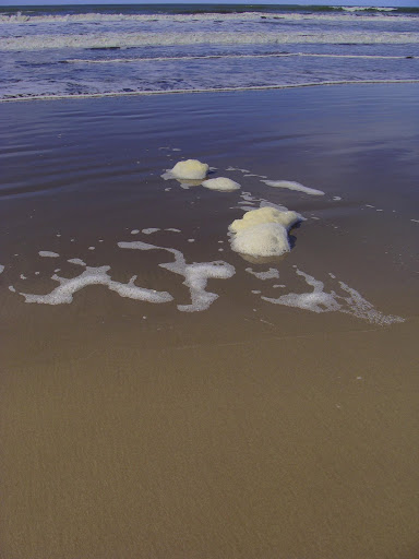 espuma