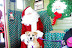 DSC0121_itA_121.JPG