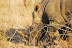 DSC_0414.JPG