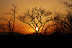 DSC_0454.JPG