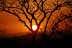 DSC_0459.JPG