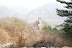 DSC_0017_2.JPG