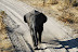DSC_0237.JPG