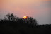 DSC_0198.JPG
