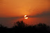 DSC_0189.JPG