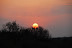 DSC_0192.JPG