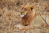 DSC_0321.JPG