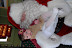DSC_0115.JPG