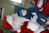 DSC_0095.JPG