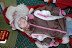 DSC_0142.JPG
