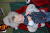 DSC_0158.JPG