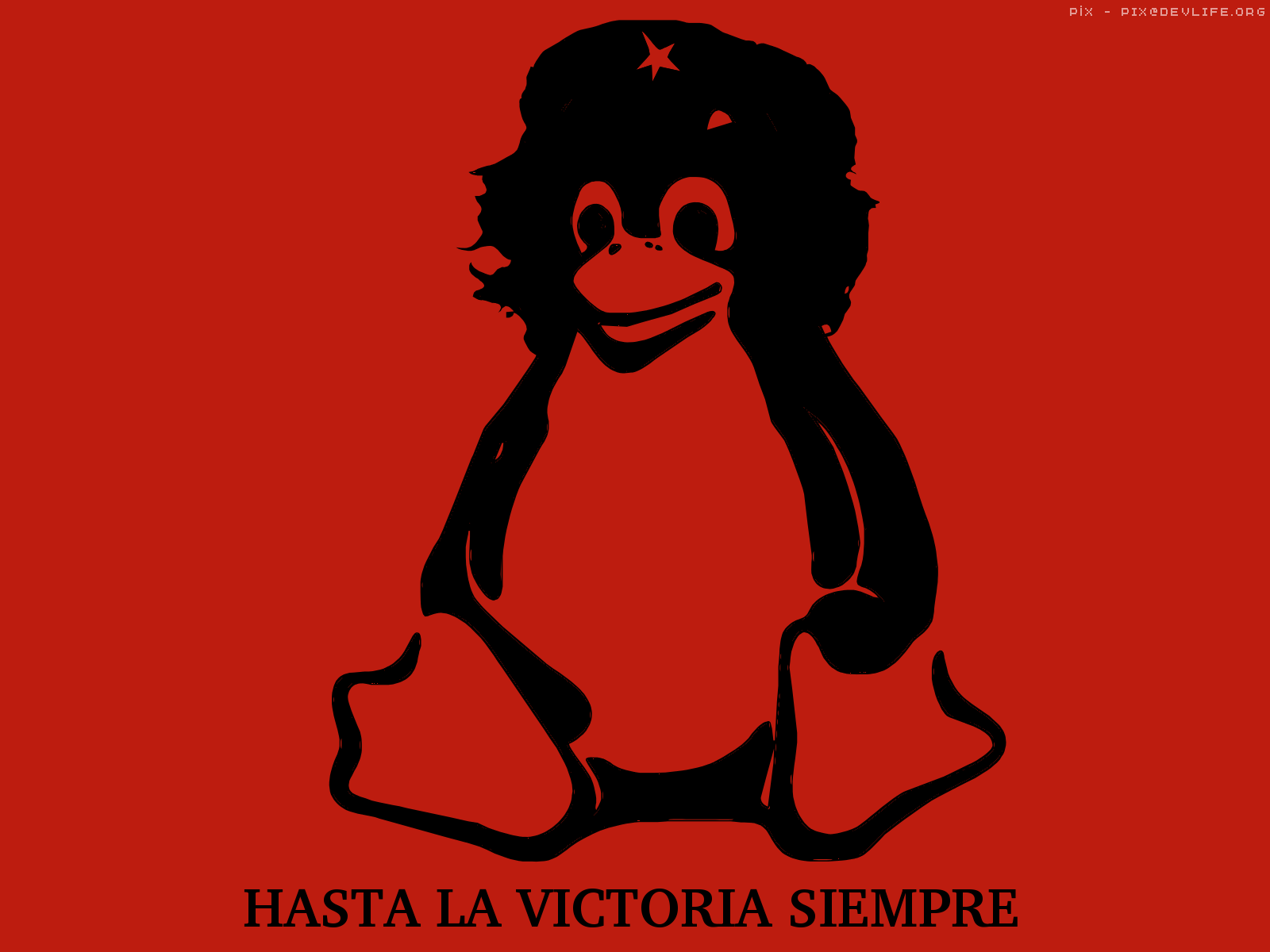 [tux-guevara-1600x1200[6].png]