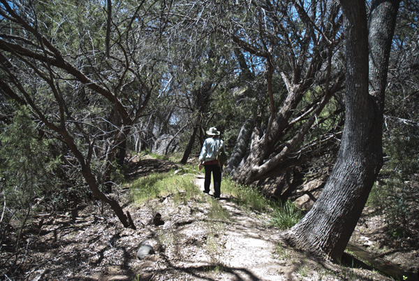 DSC_0030 mr on path mw en az.jpg