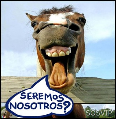 cavalo-paraguaio