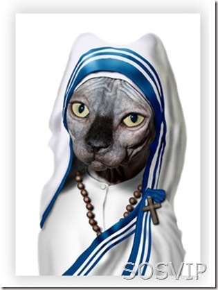 Mother Teresa Mother Teresa