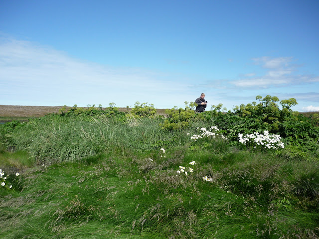Photo of  Djupivogur - Hafnarvegur