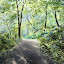 Summers day Colby Woods