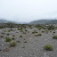 patagonia80.JPG