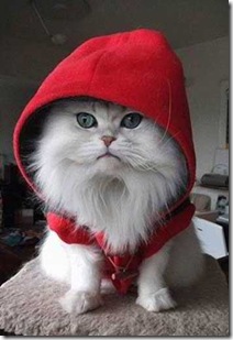 hoodie-red-cat