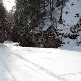 Cheile Dambovicioarei - Brusturet - 23 -24 ianuarie 2010 - 02.jpg