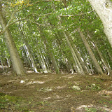 Piatra Craiului - Brusturet - 27 august - 1 septembrie 2005 - 16.jpg