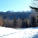 Siriu_Virgil_145.jpg