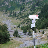 _DSC0083.JPG