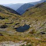 _DSC0169.JPG