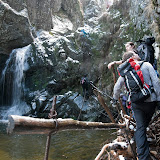 _DSC0301.jpg