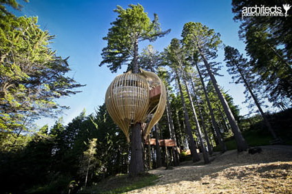 Yellow Treehouse Design by Pacific Environments Yellow Treehouse Design by Pacific Environments