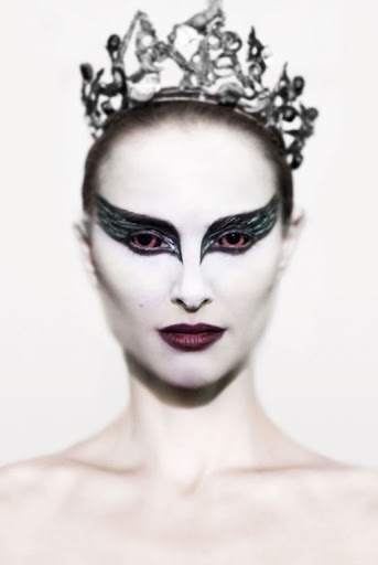 everything the Black Swan black swan lily. everything the Black Swan