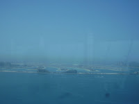 DSC03403.JPG