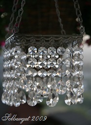 IMG_0753 IMG_0753