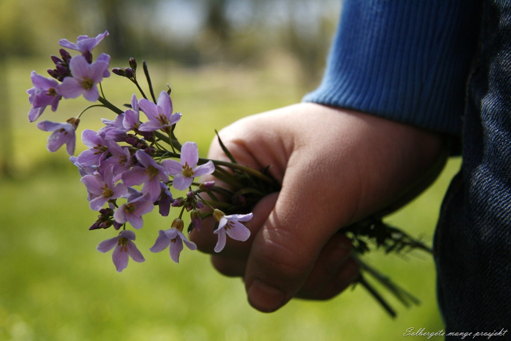 [_MG_1242[13].jpg]