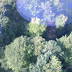 Imagen 059.jpg