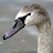 100_2822.JPG