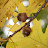 DSC00314.JPG