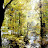 100_3143.JPG