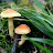 100_6831.JPG