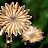 DSCF9439.JPG