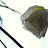 DSCF9716.JPG