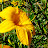 DSCF9604.JPG